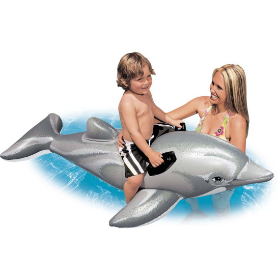 Dolphin INTEX 58539