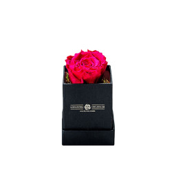 Forever Roses Φουξ Essential 6x9cm
