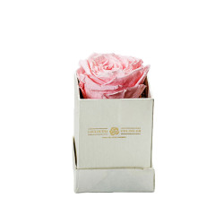 Forever Roses Ροζ Essential 6x9cm