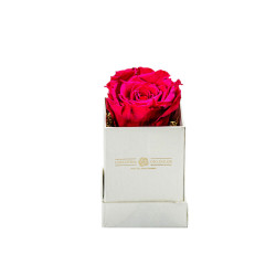 Forever Roses Φουξια Essential 6x9cm