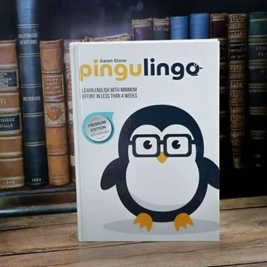 Pingulingo	English language learning system
