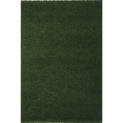 Χαλί Outdoor Shaggy Green Royal Carpet 160X230cm