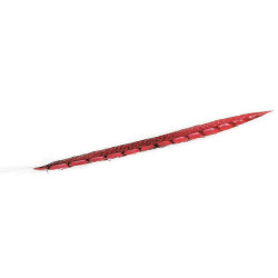 Φτερό Διακοσμητικό FTE213K6 55cm Red Espiel Χαρτί