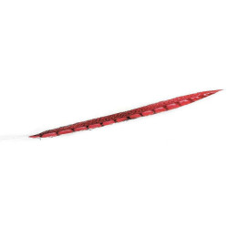 Φτερό Διακοσμητικό FTE214K6 70cm Red Espiel Χαρτί