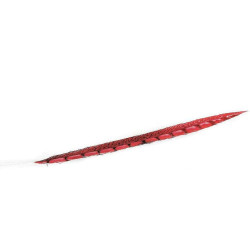 Φτερό Διακοσμητικό FTE216K6 90cm Red Espiel Χαρτί