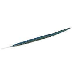 Φτερό Διακοσμητικό FTE221K6 55cm Green-Blue Espiel Χαρτί