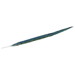 Φτερό Διακοσμητικό FTE223K6 80cm Green-Blue Espiel Χαρτί