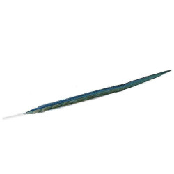 Φτερό Διακοσμητικό FTE224K6 90cm Green-Blue Espiel Χαρτί