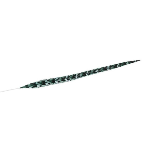 Φτερό Διακοσμητικό FTE226K6 70cm Green-Black Espiel Χαρτί