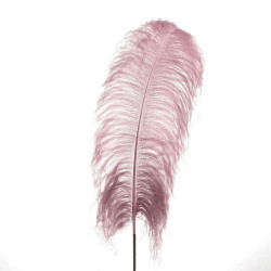 Φτερό Διακοσμητικό 3-70-355-0011 60/95cm Pink Inart Πολυέστερ