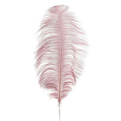 Φτερό Διακοσμητικό 3-70-355-0020 40/70cm Pink Inart Πολυέστερ