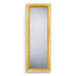 Καθρέπτης Τοίχου Jana 1760379 70x170cm Gold Mirrors & More Πλαστικό