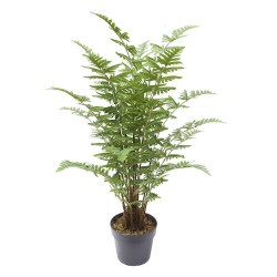 Τεχνητό Φυτό Φτέρη Maidenhair 0960-6 50x50x90cm Green Supergreens Πολυαιθυλένιο