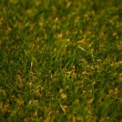 Μοκέτα Γκαζόν - Χλοοτάπητας Grassland 35mm Green 400X...