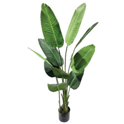 Τεχνητό Φυτό Σε Γλάστρα Στρελίτσια 04-00-21040 160cm Green Marhome Συνθετικό Υλικό