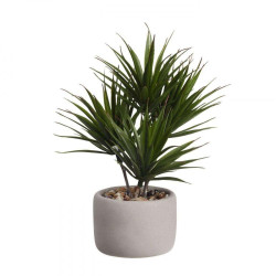 Φυτό Σε Γλαστράκι Palm 66225444 24,5x17,5x28cm Green Asa Συνθετικό Υλικό
