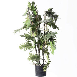 Τεχνητό Φυτό Φιλόδεντρο Xanadu 5161-7 30x75cm Green Supergreens Πολυαιθυλένιο