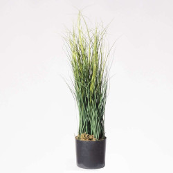 Τεχνητό Φυτό Χορτάρι 7870-6 55cm Green Supergreens Πολυαιθυλένιο