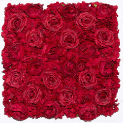 Τεχνητή Φυλλωσιά Τριαντάφυλλο 2951-7 50x50cm Red Supergreens 50X50
