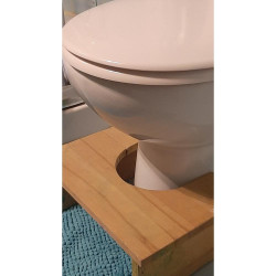 Σκαμπό/σκαλοπάτι/toilet stool